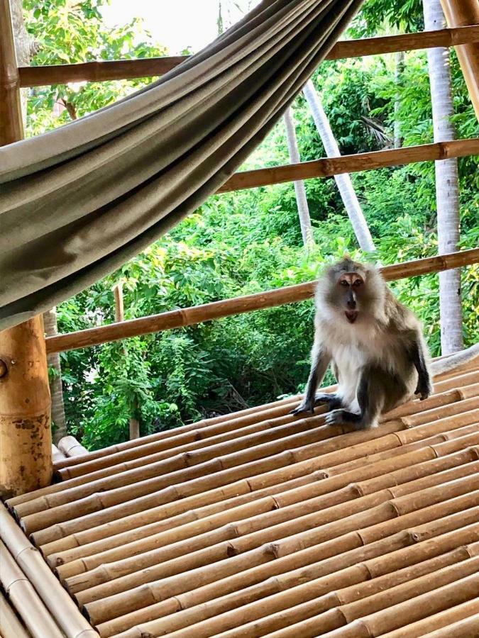 Kalulushi Bungalows Ko Pha Ngan Luaran gambar